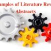Examples of Literature Reviews